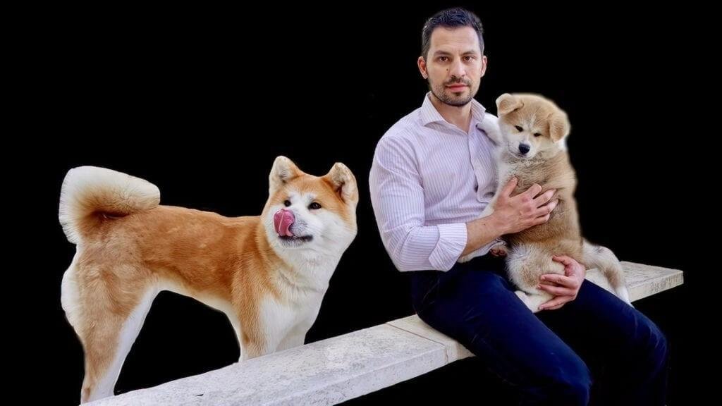 Man sitting on a bench holding an Akita Inu puppy while an adult Akita Inu stands nearby licking its nose.