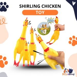 SHIRLING CHICKEN TOY