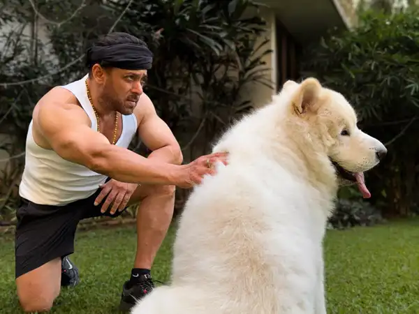 Salman Khan Dog Breed
