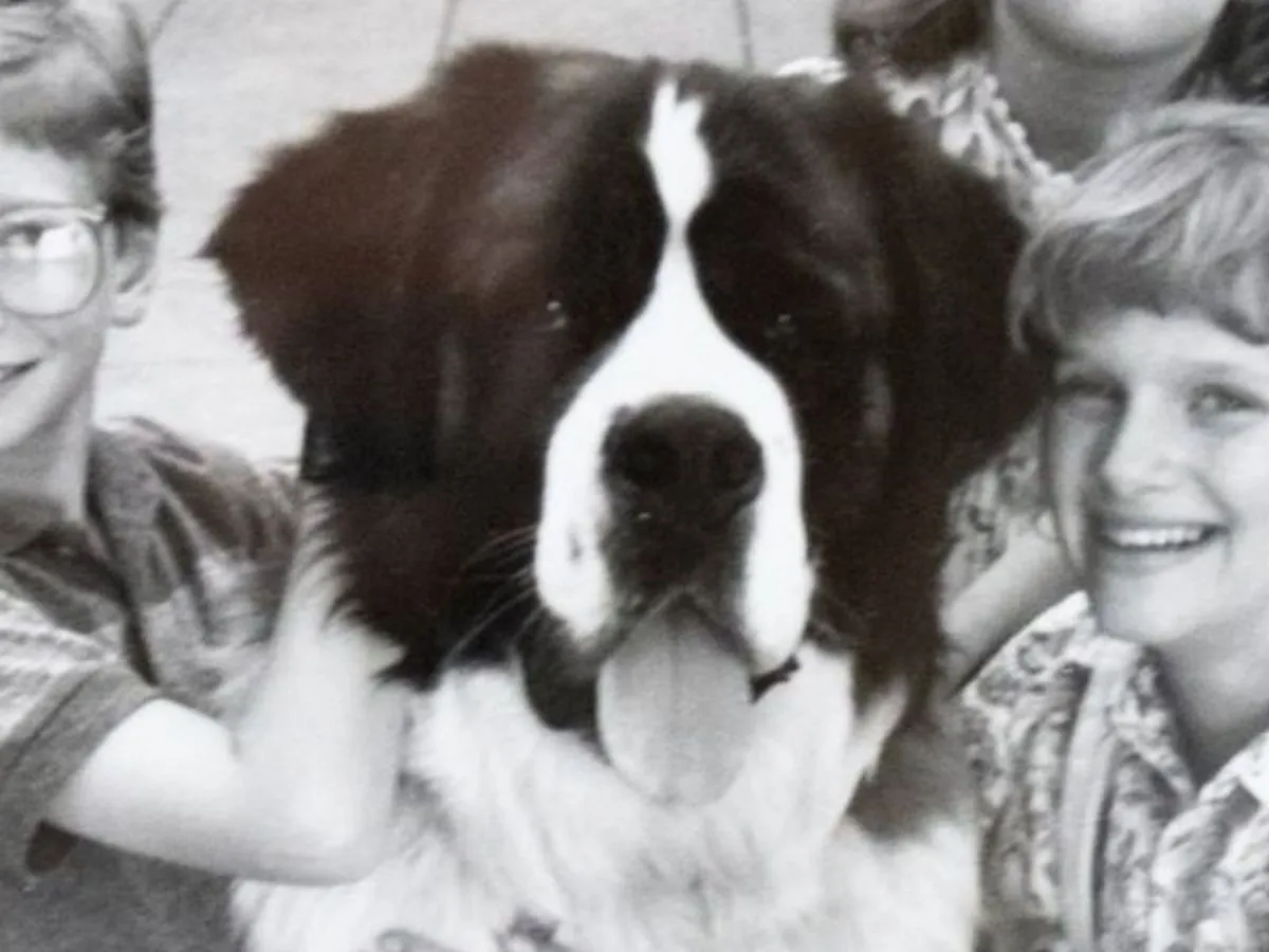 Saint Bernard dog from the Beethoven movie sitting calmly beside smiling children in a black and white photo.
