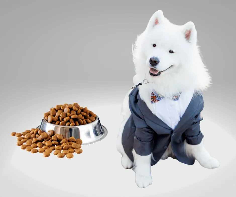A white Samoyed dog dressed in a suit sitting next to a bowl overflowing with dry dog food.