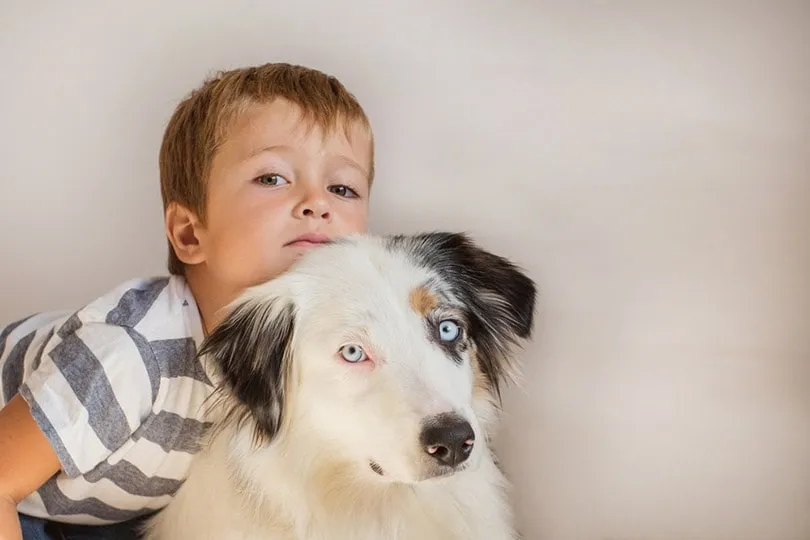 A young boy wearing a striped shirt hugs an Australian Shepherd dog against a plain background.