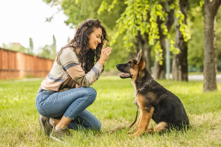 A woman kneels on grass training a sitting German Shepherd puppy outdoors with trees in the background.
