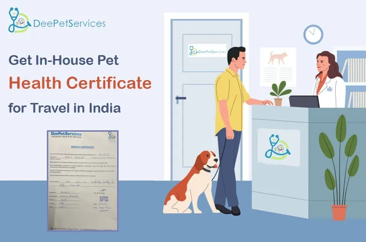 Veterinarian issuing an in-house pet health certificate for travel in India at a clinic reception with a dog and owner.