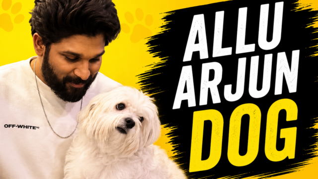Allu Arjun Dog